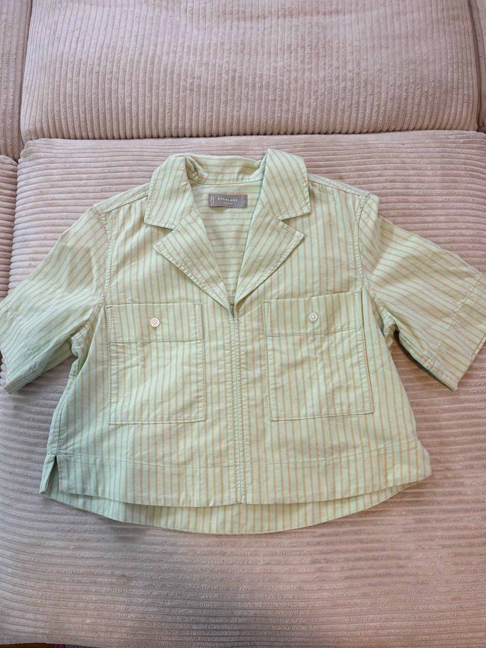 EVERLANE Pin Stripe Boxy Oxford Shirt